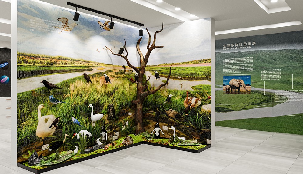 山东省生态环境规划研究院标本室展馆-VR展示